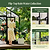 Vego Victorian Greenhouse - 10.5ft Wide