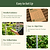 Vego Garden Modular Wall Trellis