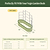 Vego Garden Modular Wall Trellis