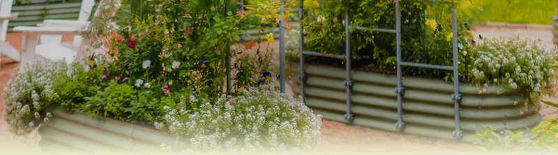 Vego garden beds