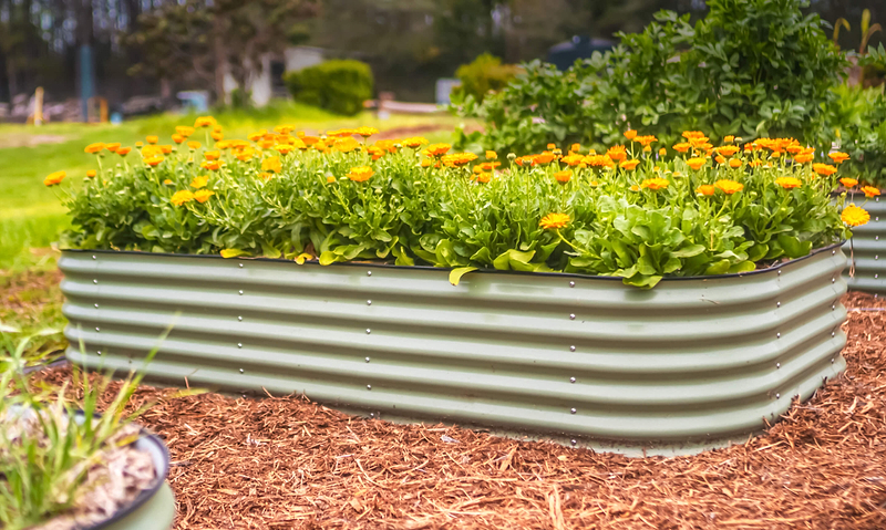 Vego garden beds