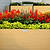 Woodgrain U Shape Metal Raised Garden Bed | Vego Garden