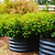 17" Tall X In 1 Giant Modular Metal Raised Garden Bed Kit