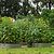 17" Tall X In 1 Giant Modular Metal Raised Garden Bed Kit