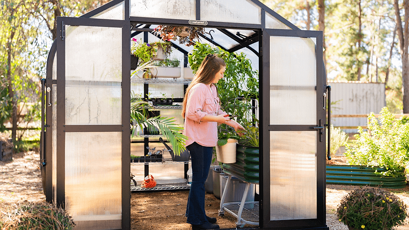 Vego garden beds