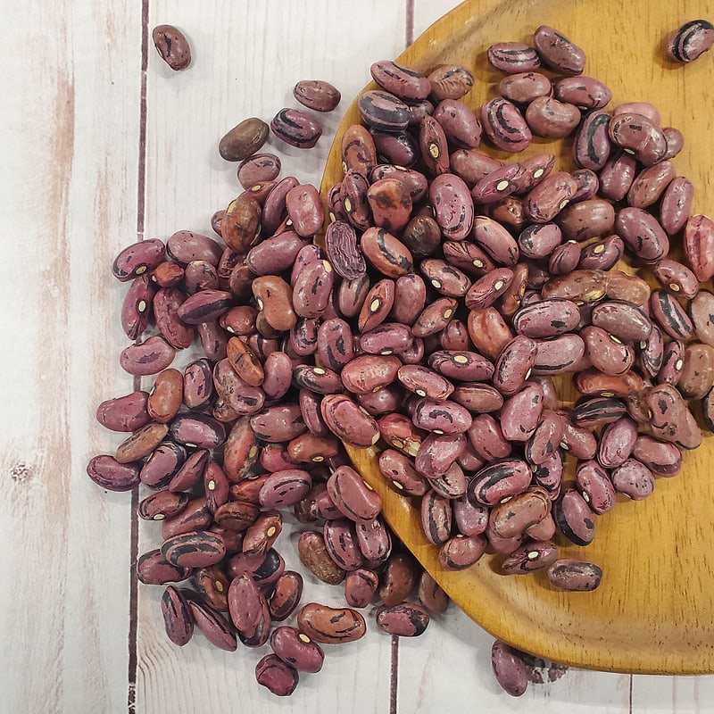 Rio Zape Bean (Bush-Semi Vining) Seeds