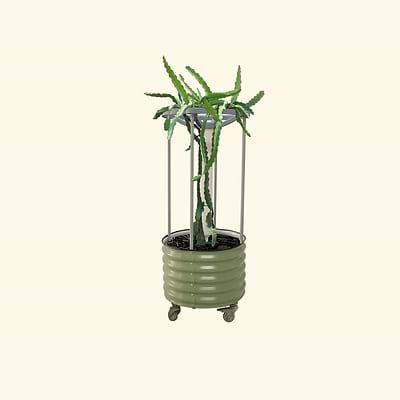 Dragon Fruit Planter Bundle
