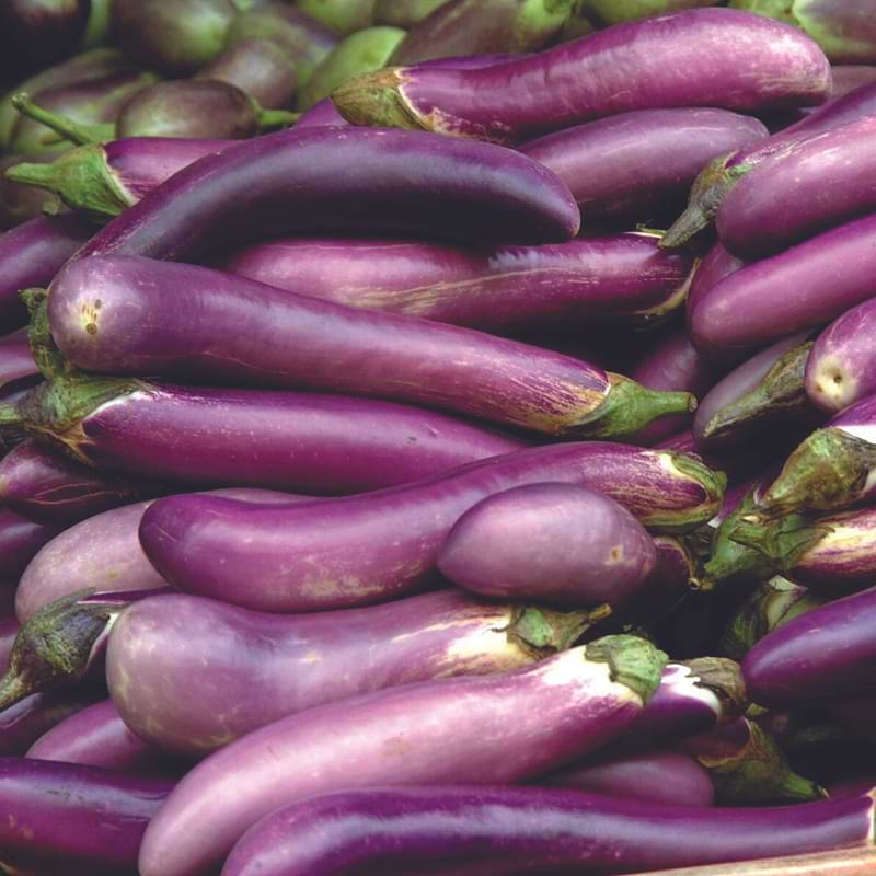 Ping-Tung Long Eggplant Seeds