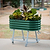 Elevated Garden bed gen2 british green 2x4