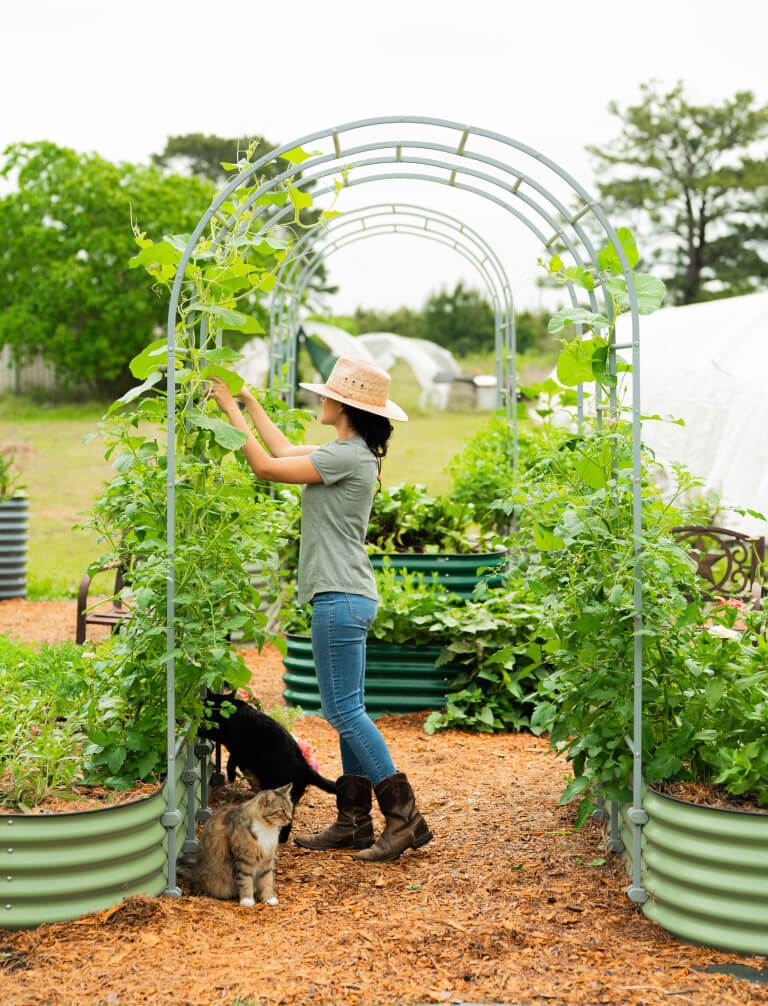 Vego garden beds