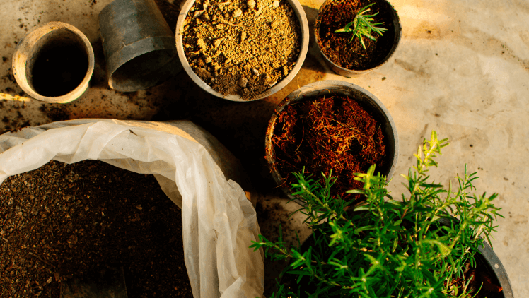 Vego garden beds