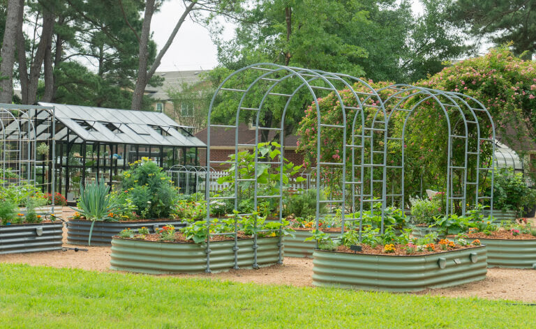 Vego garden beds