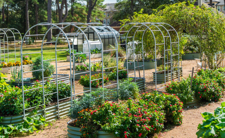 Vego garden beds