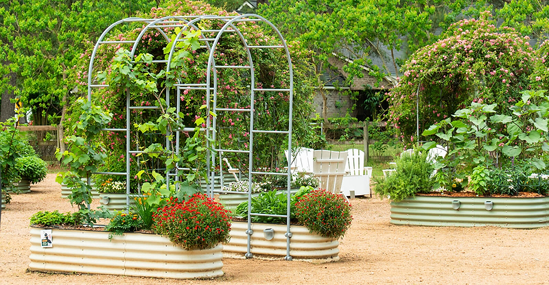Vego garden beds