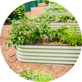 Vego garden beds