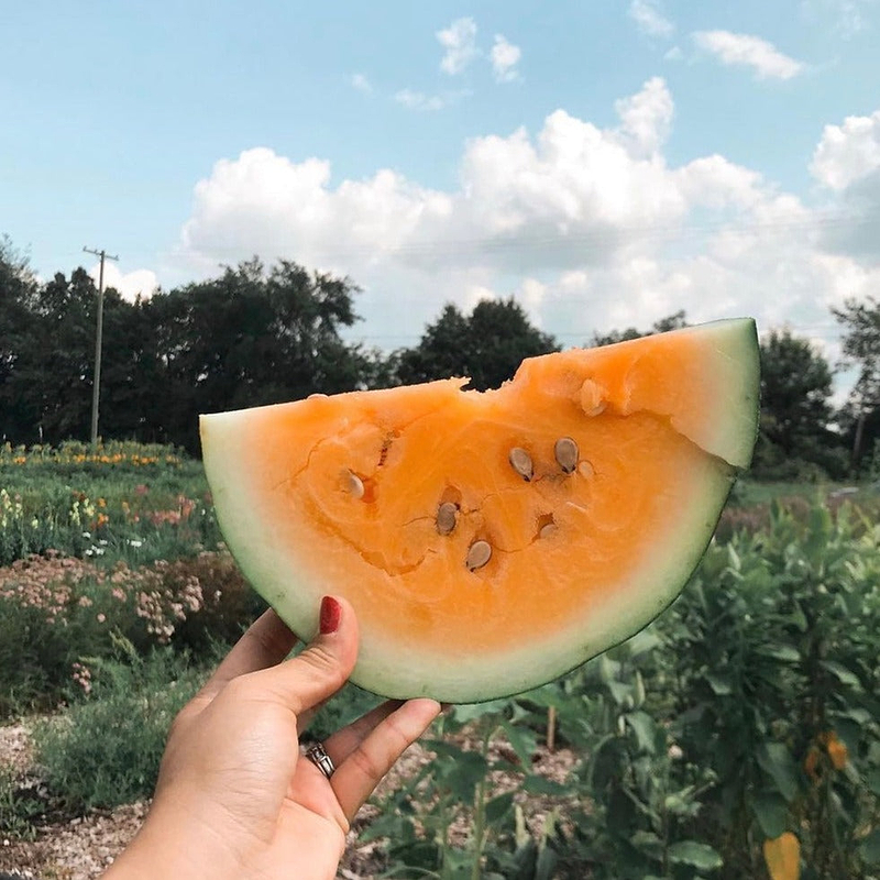 Orangeglo Watermelon Seeds