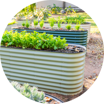 Vego garden beds