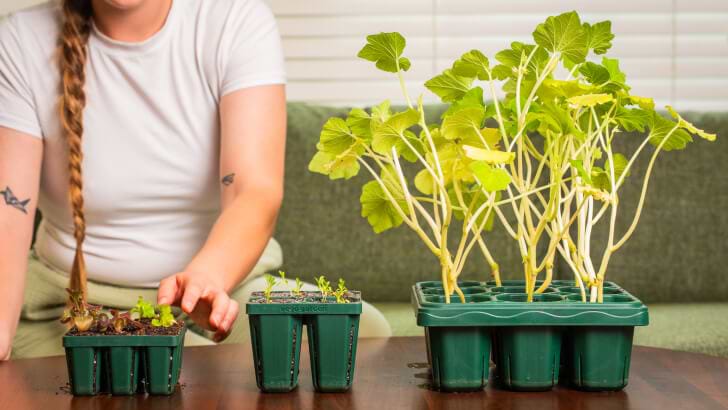 vego garden seed starting Ultimate Seed Starting Bundle