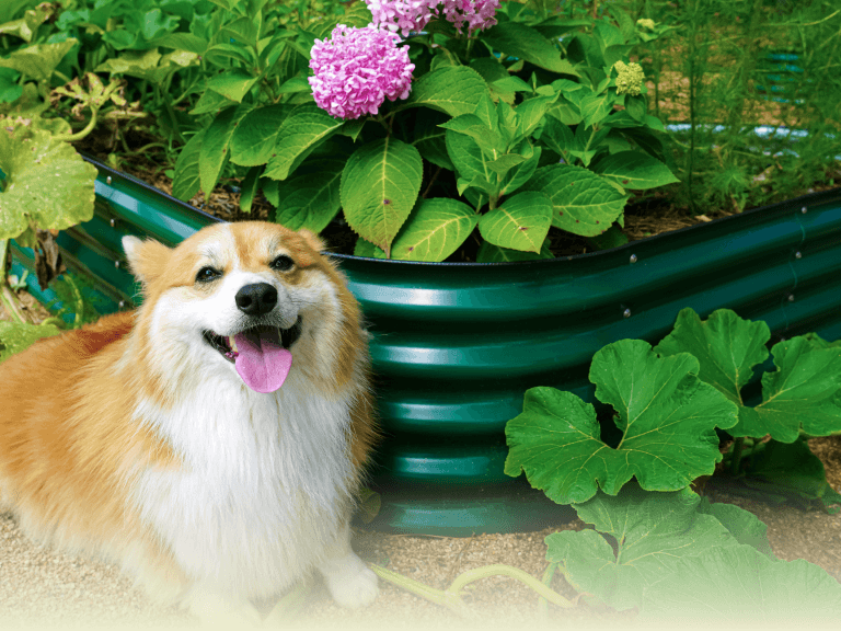 Vego garden beds