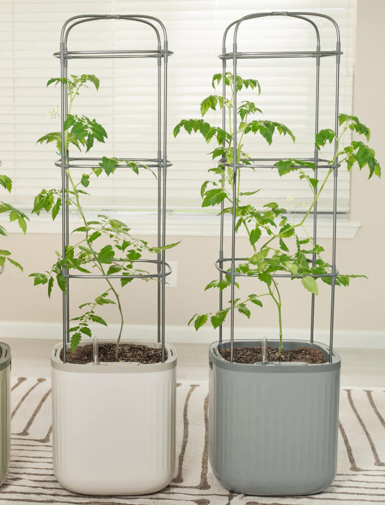 Vego garden beds