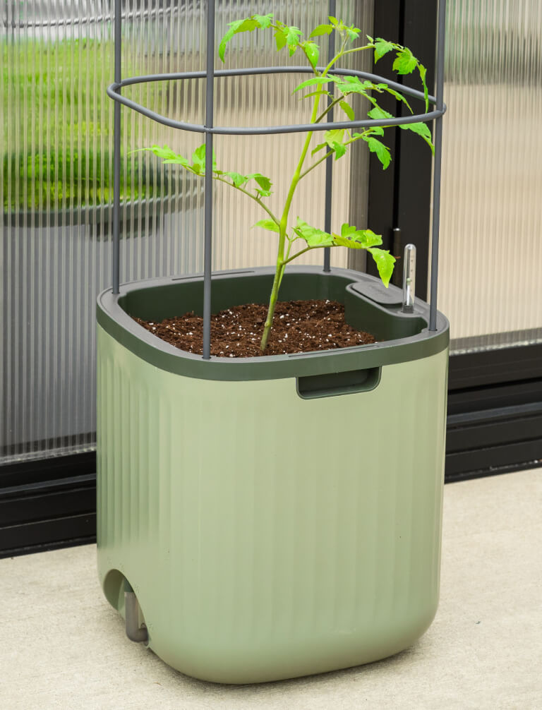 Vego garden beds
