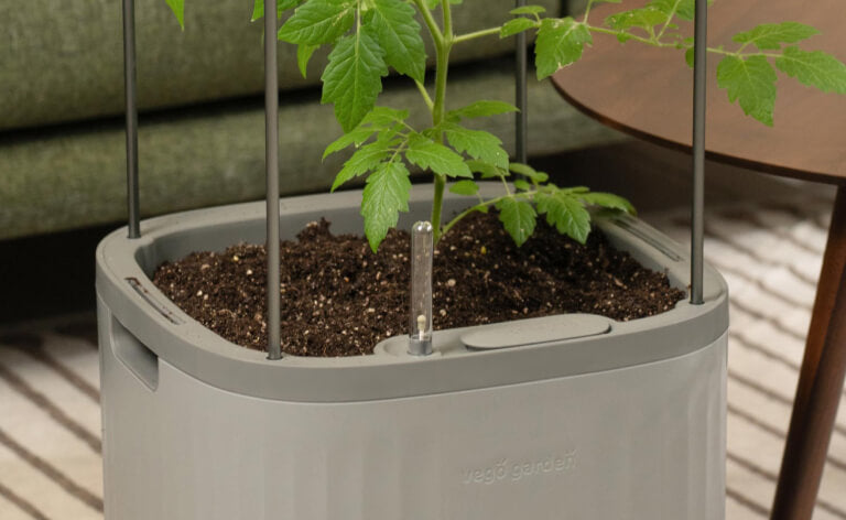 Vego garden beds