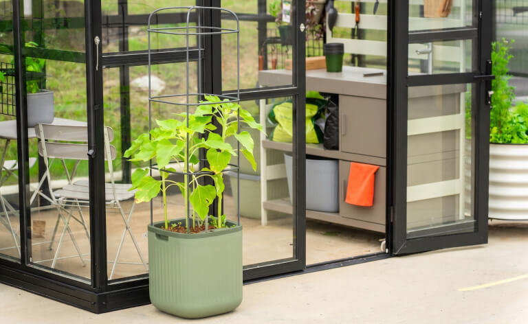 Vego garden beds