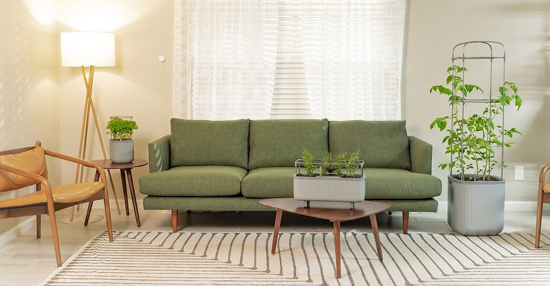 Vego garden beds