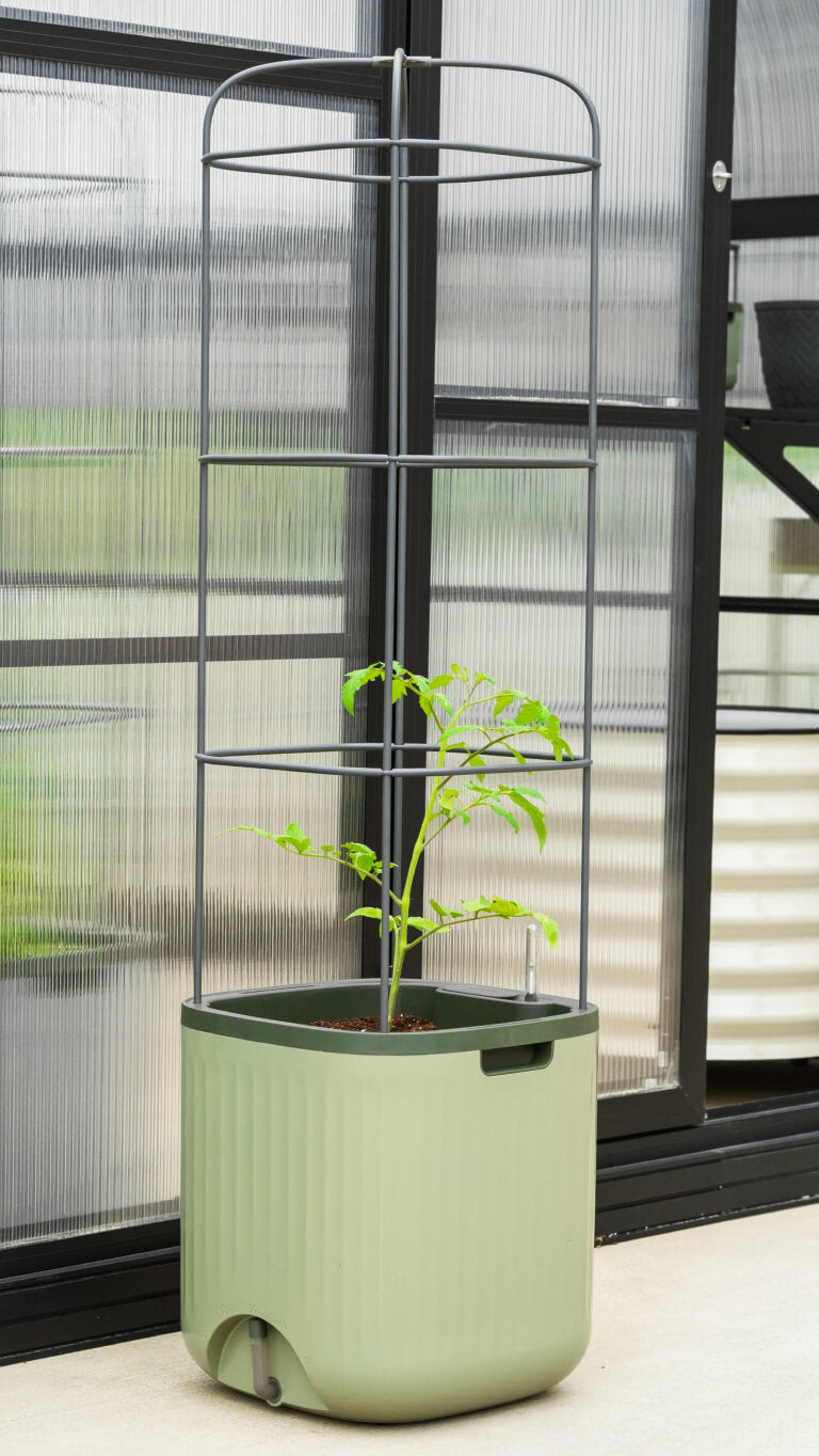 Vego garden beds