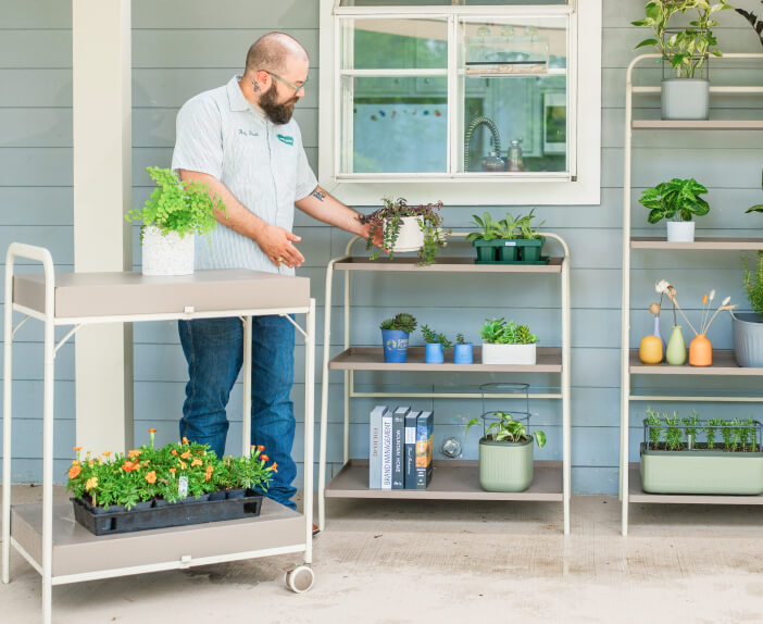 Vego garden beds