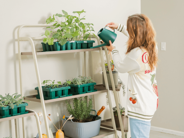 Vego garden beds