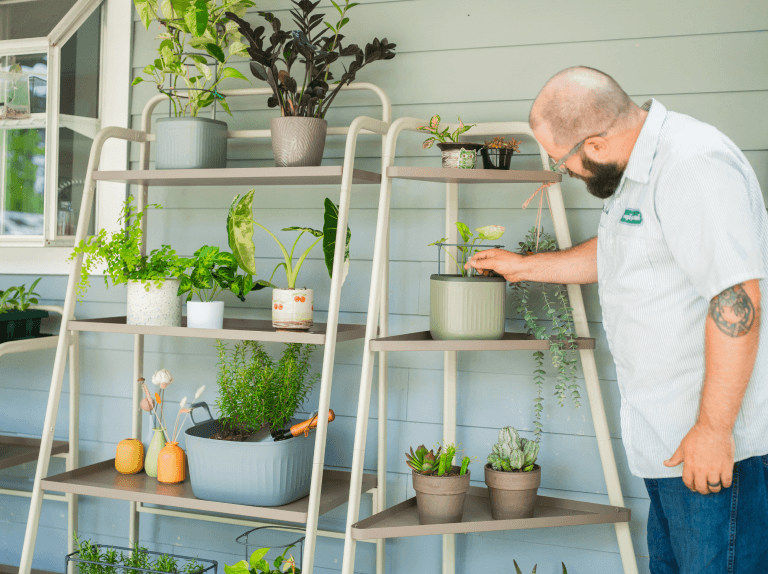 Vego garden beds