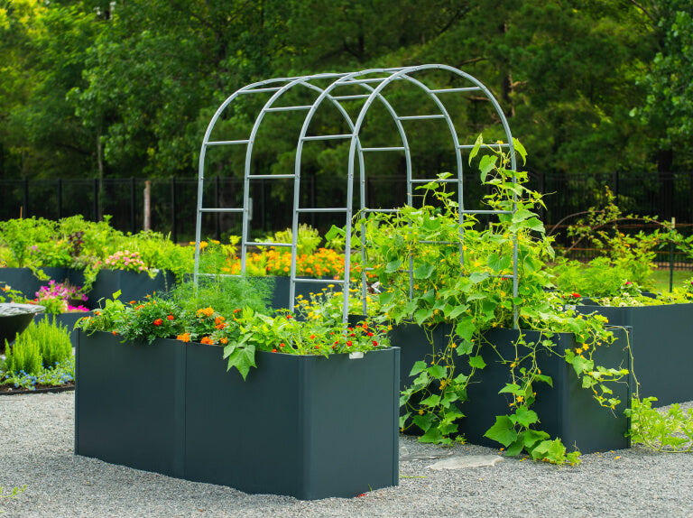 Vego garden beds
