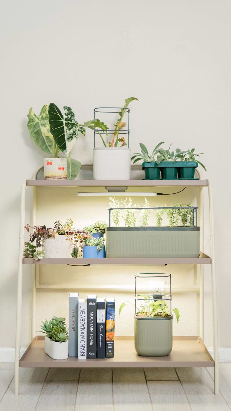 eco friendly dish rack with plants 3-Tier Shelf Plant Stand - Compact Display Rack