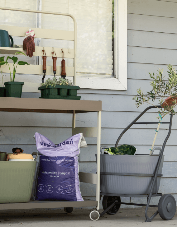 Vego garden beds