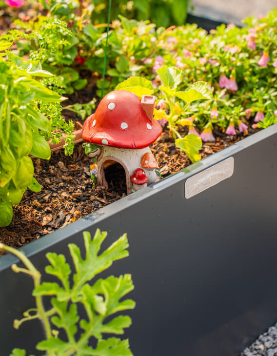 Vego garden beds