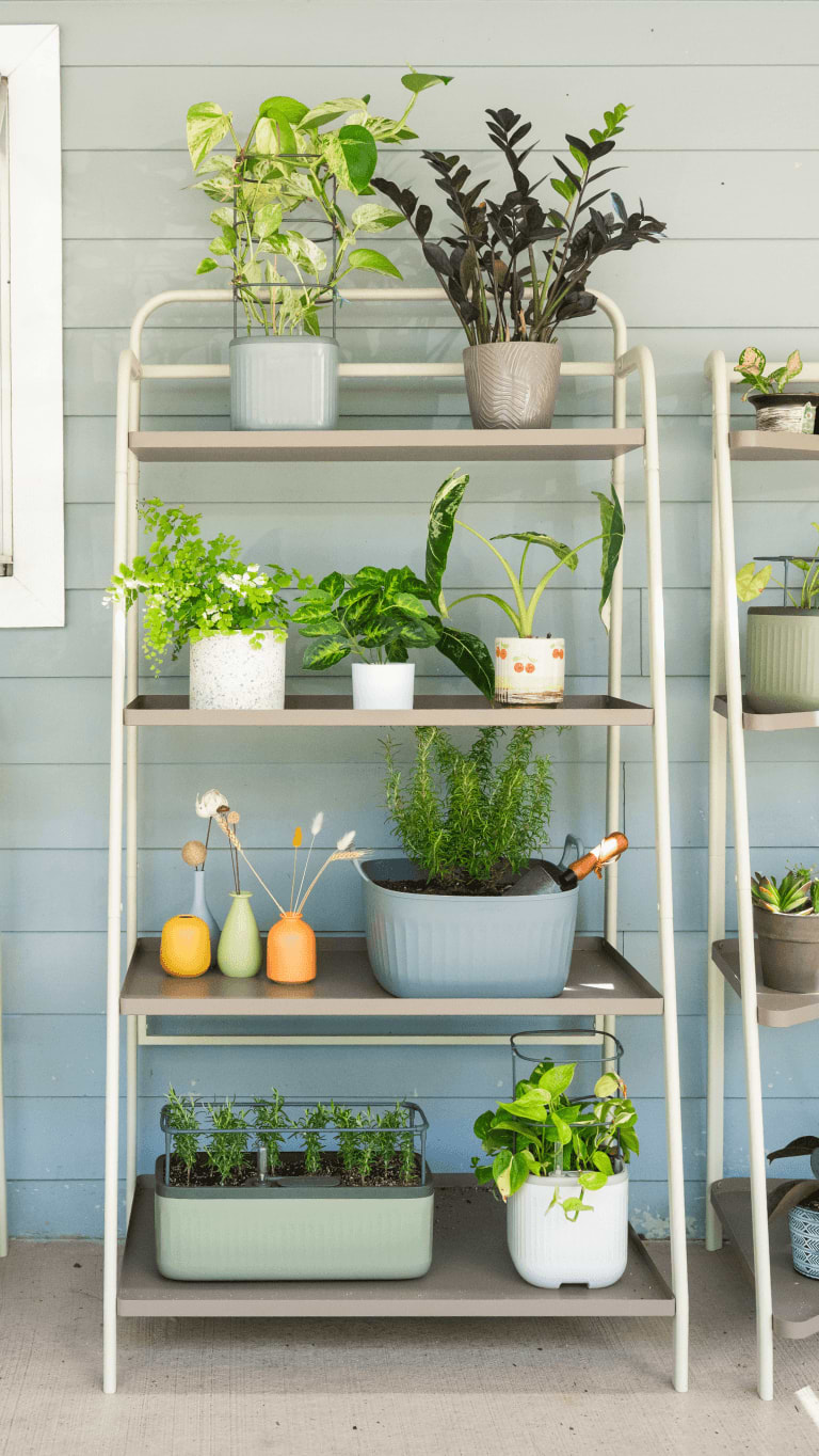 indoor herb garden plant stands 4-Tier Shelf Plant Stand - Indoor & Outdoor
