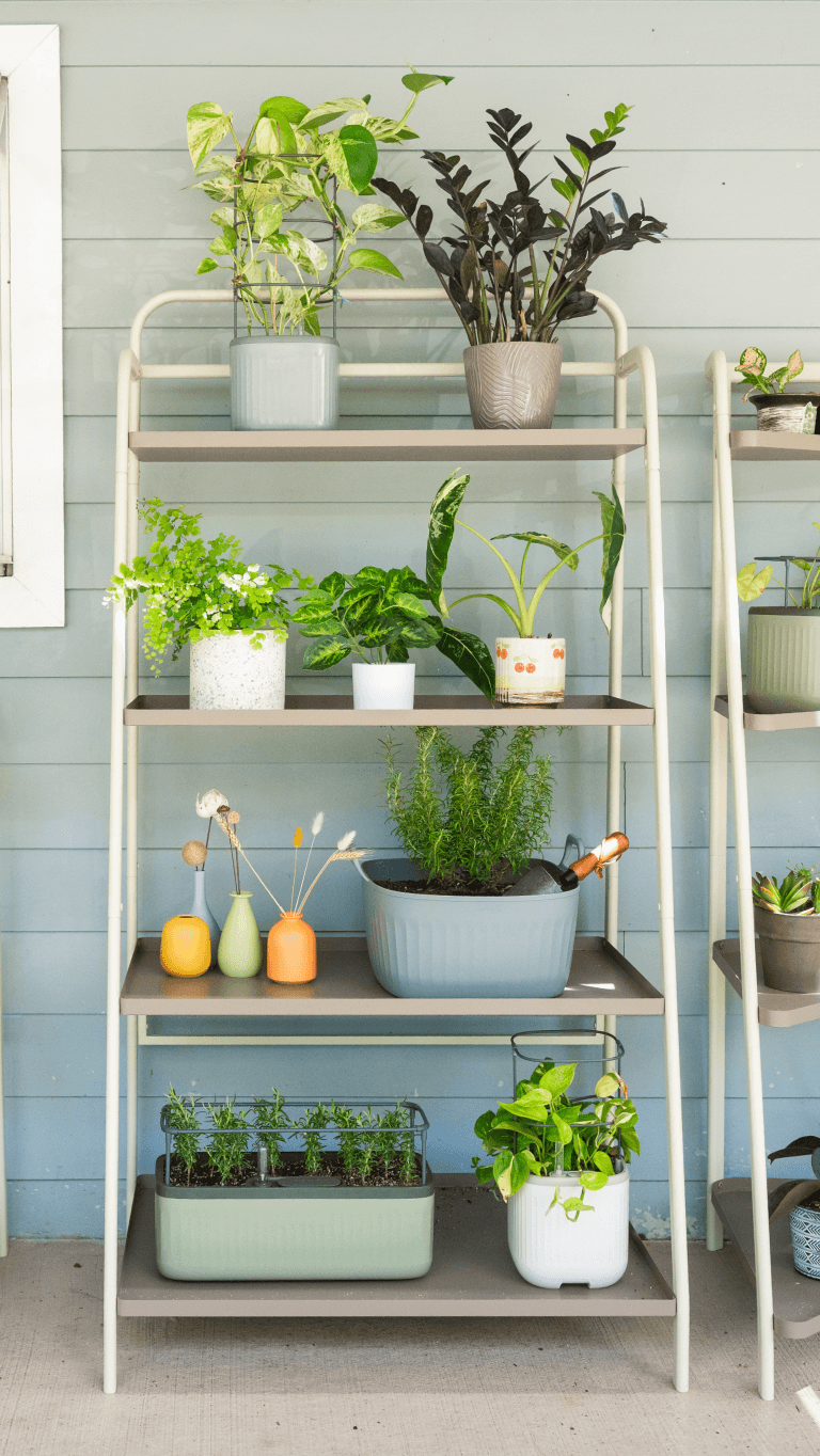 Vego garden beds