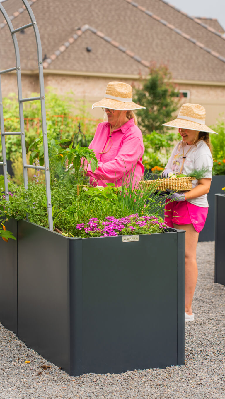 Vego garden beds