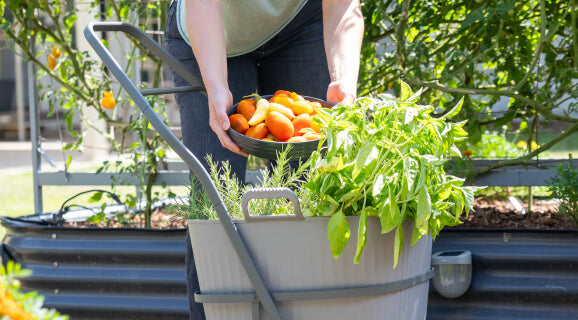 Vego garden beds