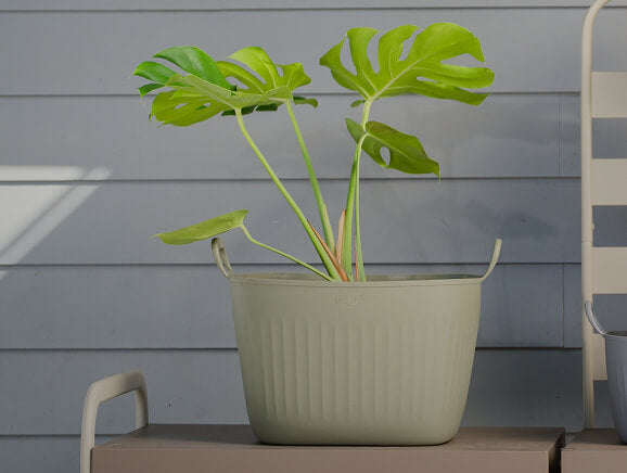 Converts to a Planter