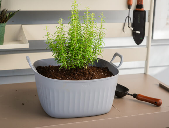 Converts to a Planter