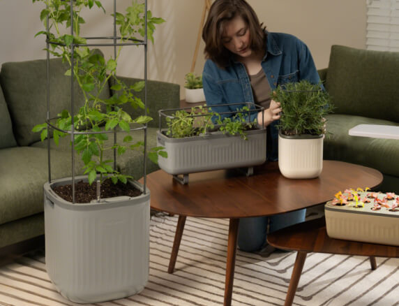 Vego garden beds