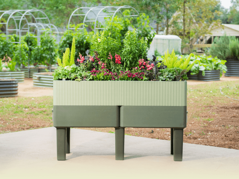 Vego garden beds