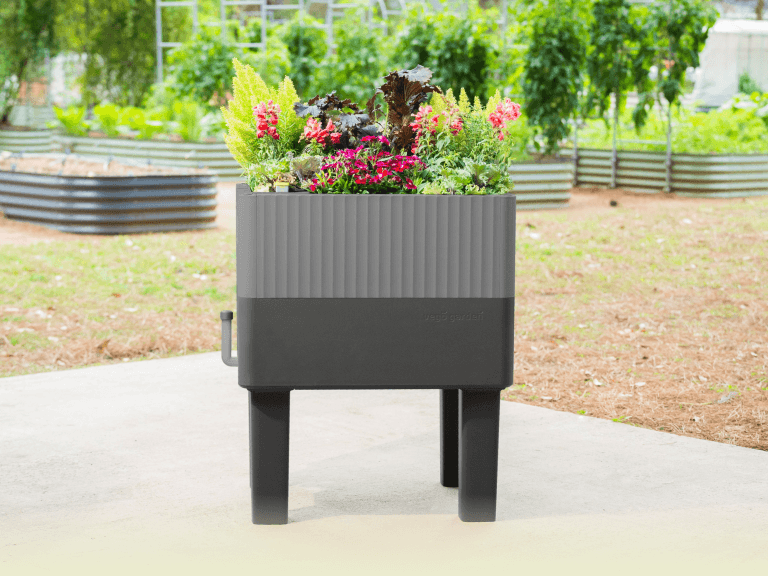 Vego garden beds