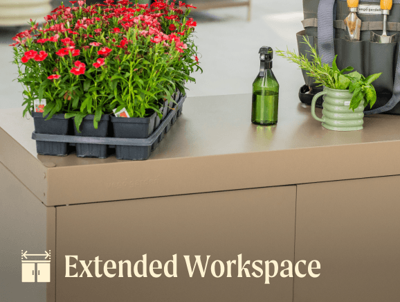 Extended Workspace