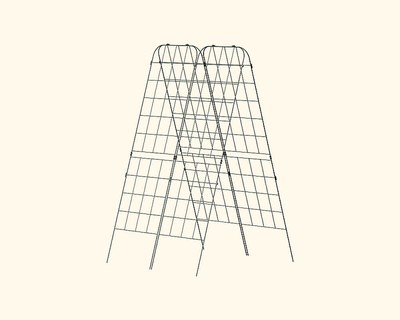 Strength at its Peak