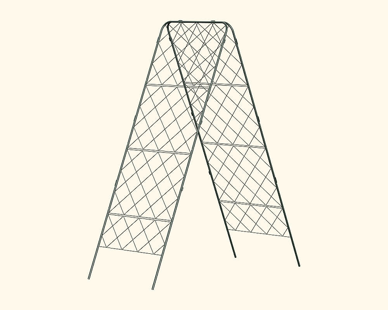 Strength at its Peak