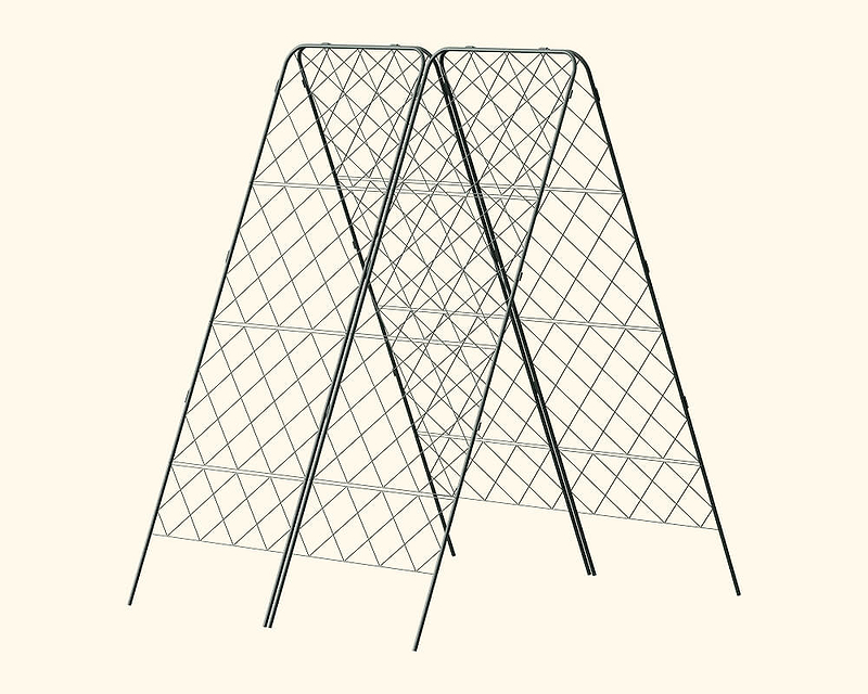 Strength at its Peak