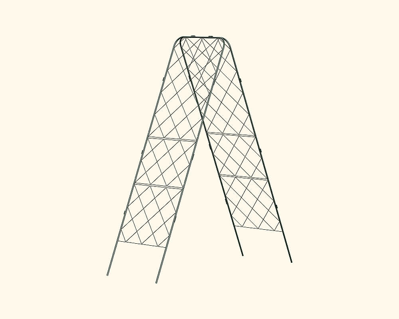 Strength at its Peak